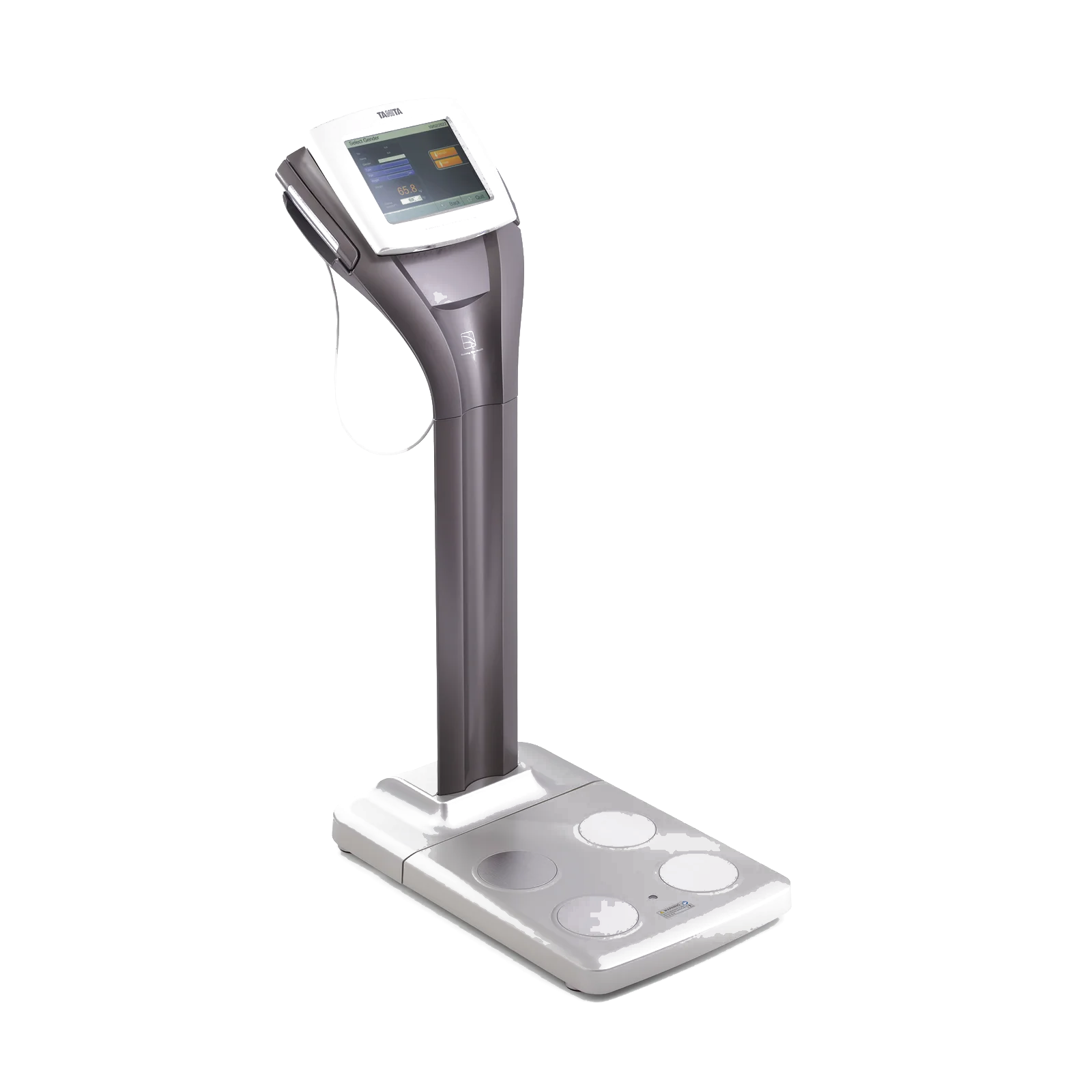 Body Composition Analysis
